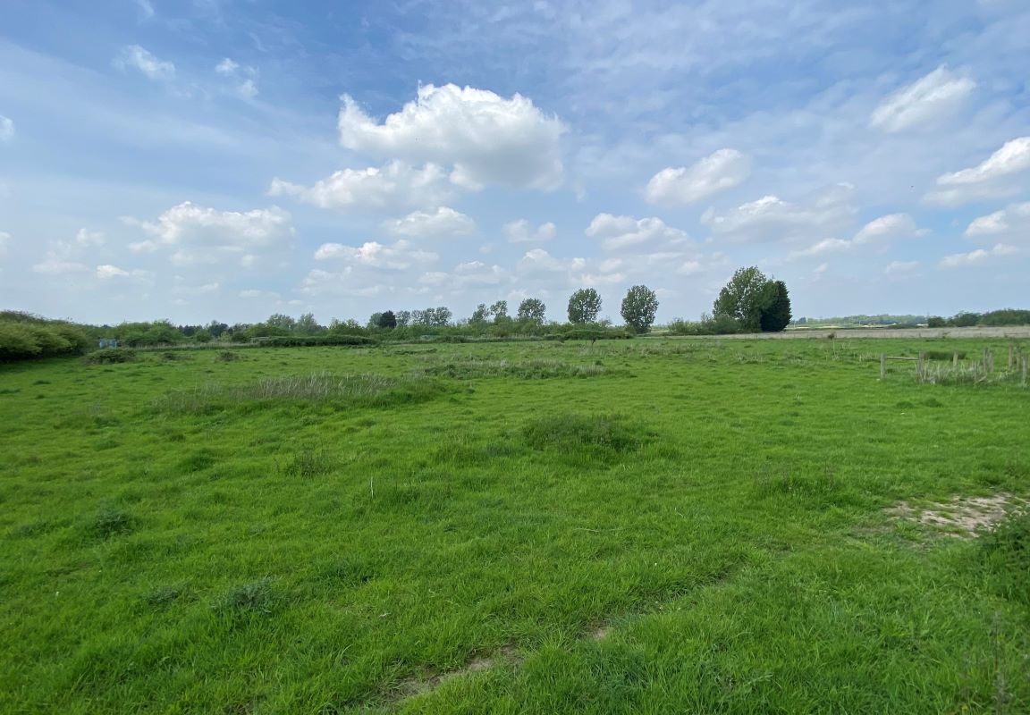 51 Mill Road, Emneth, Wisbech, Cambridgeshire, PE14 8AE