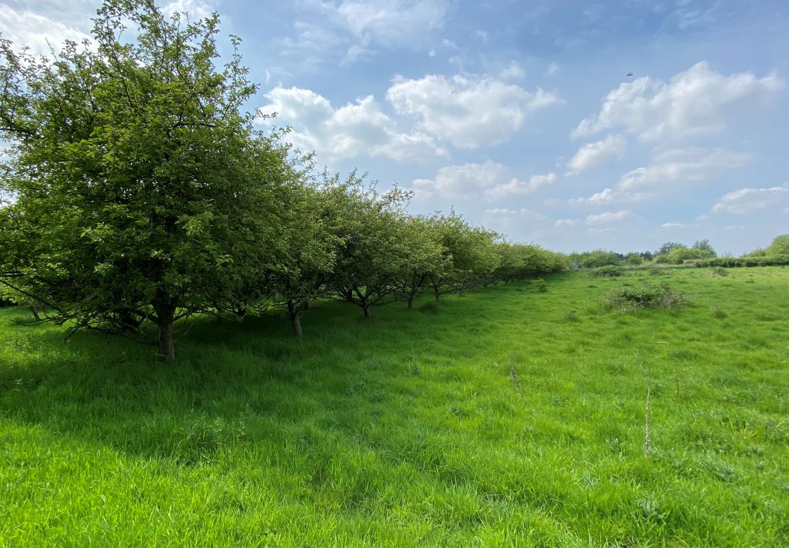 51 Mill Road, Emneth, Wisbech, Cambridgeshire, PE14 8AE