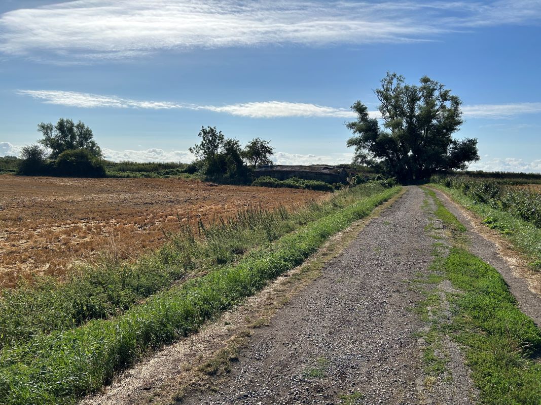 Harrimere, 62 Chapel Hill, Little Thetford, Ely, Cambridgeshire, CB6 3HB