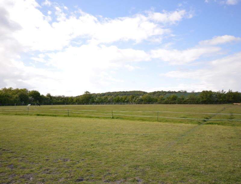 Dumpling Wood paddock for sale at auction on 24 Jun 2015 0200 PM