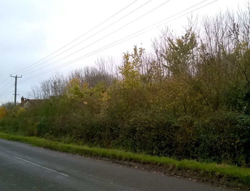 Land at Cardinals Green, Horseheath for sale at auction on 09 Dec 2015