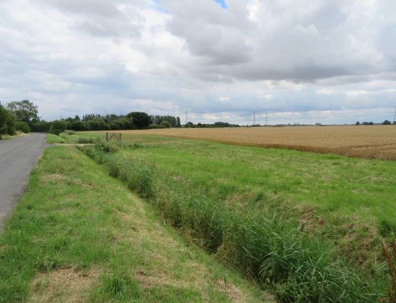 Land at Walnut Rd, Walpole St Peter for sale at auction on 28 Sep 2016