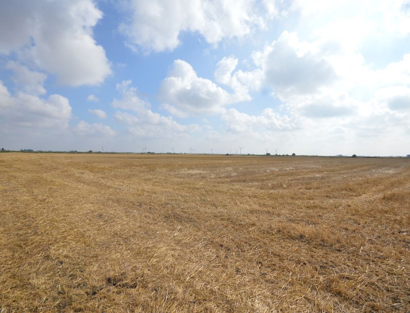 5.30 acres at First Turf Fen Drove, Warboys for sale at auction on 28