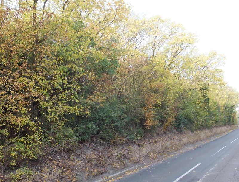 0.81 acre woodland at Croydon Hill, Croydon, Royston, Hertfordshire, SG8 0DZ