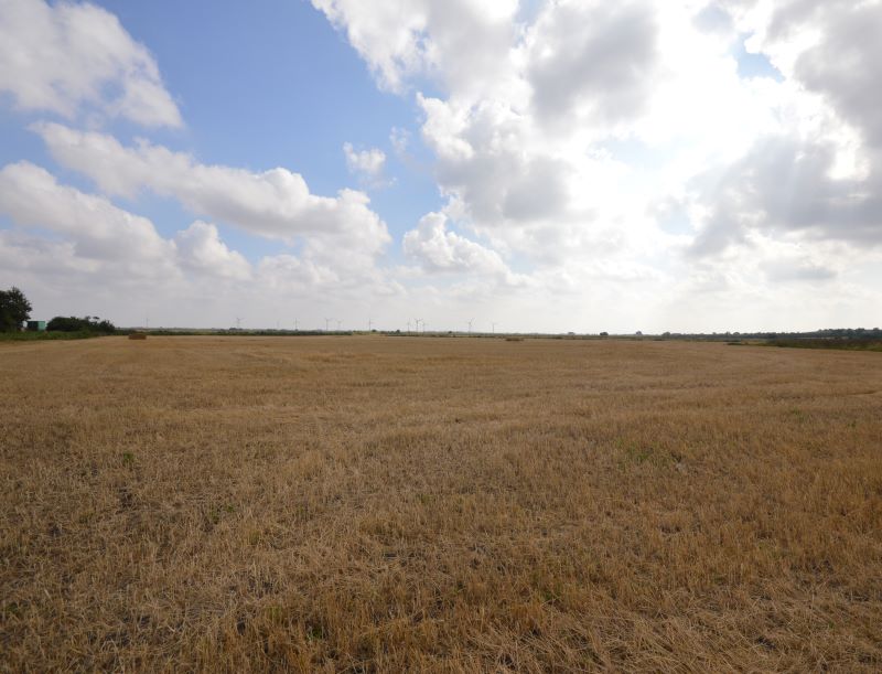 12.16 acres at First Turf Fen Drove, Warboys for sale at auction on 07