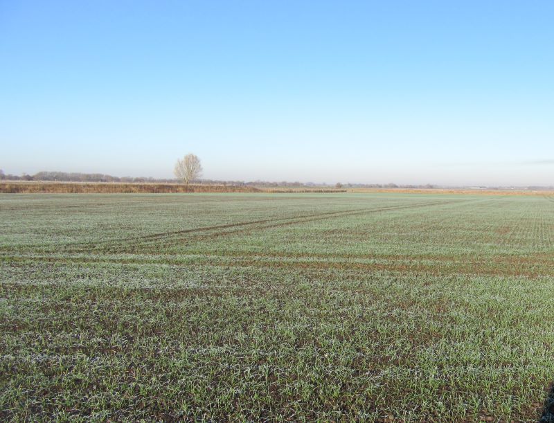 8ac. arable land Reach for sale at auction on 15 Mar 2017 0200 PM