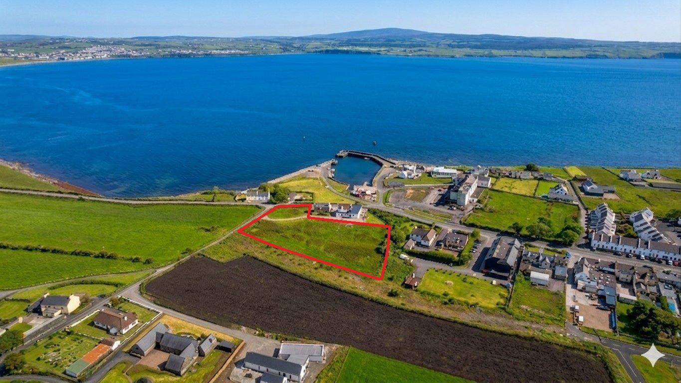 Lot Image