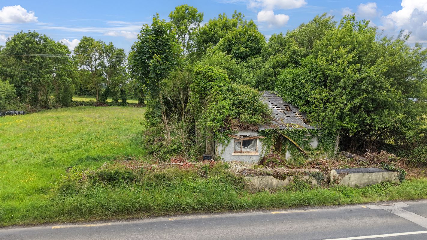 Lot Image