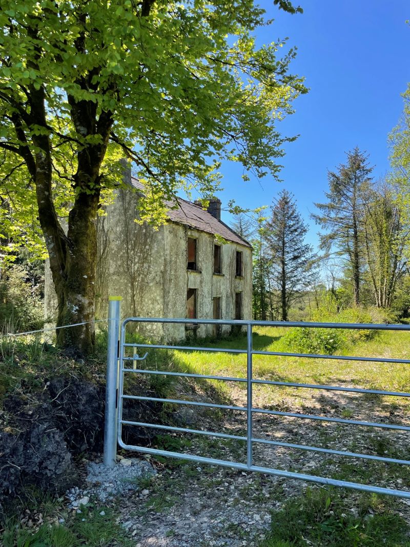 Lot Image