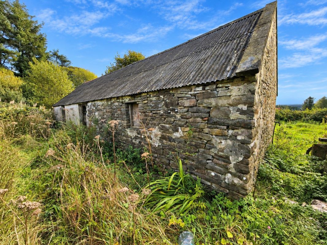 Lot Image