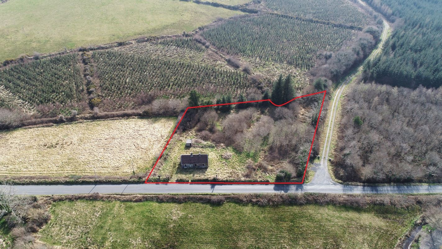 Primary Lot Photo