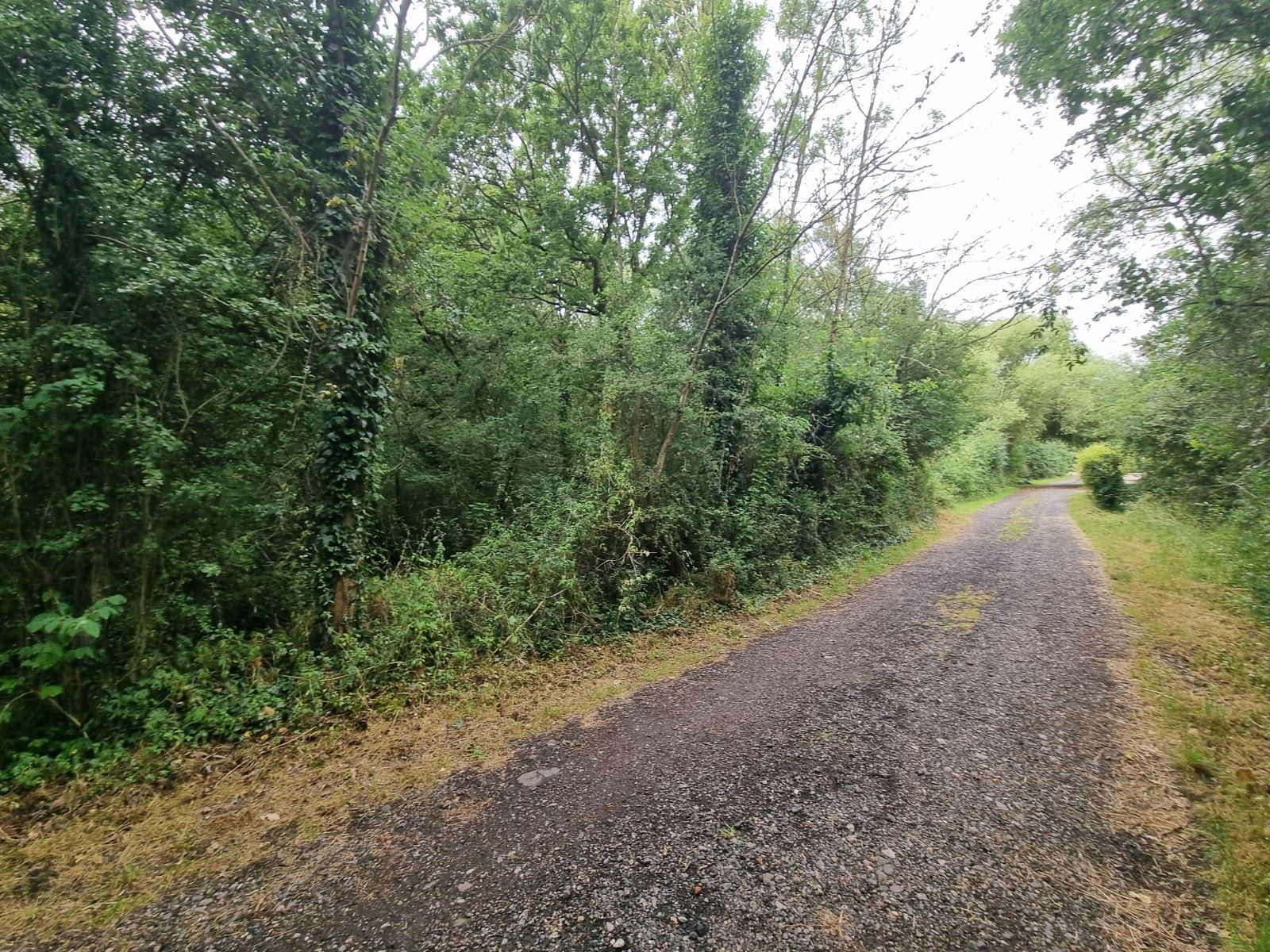 Land, Beckney Avenue, Hockley, Essex, SS5 5NR