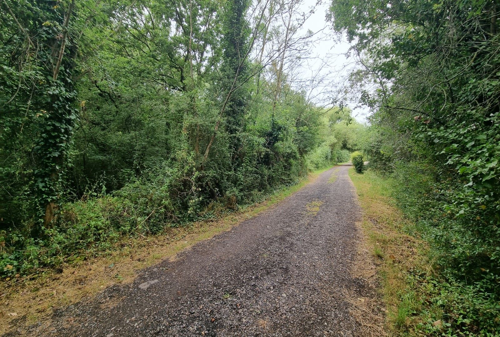 Land, Beckney Avenue, Hockley, Essex, SS5 5NR