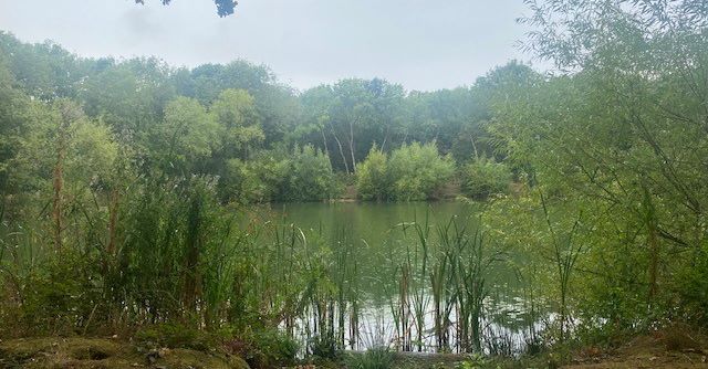 Birchwood, Chapel Road, Tiptree, Essex, CO5 0HP