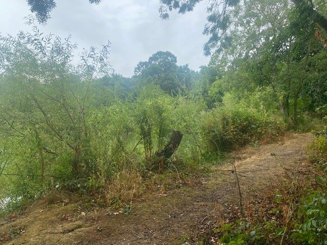 Birchwood, Chapel Road, Tiptree, Essex, CO5 0HP