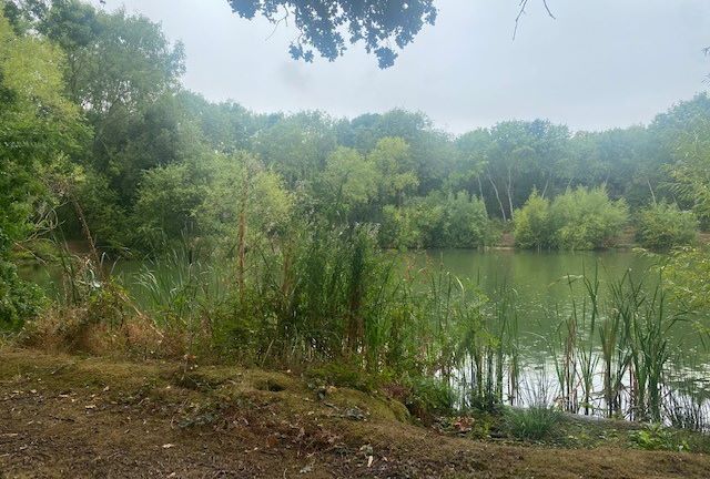 Birchwood, Chapel Road, Tiptree, Essex, CO5 0HP