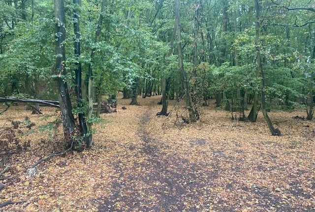 Birchwood, Chapel Road, Tiptree, Essex, CO5 0HP