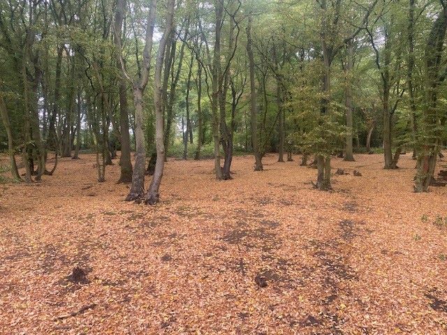 Birchwood, Chapel Road, Tiptree, Essex, CO5 0HP