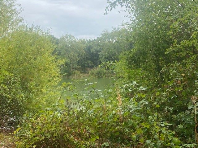 Birchwood, Chapel Road, Tiptree, Essex, CO5 0HP