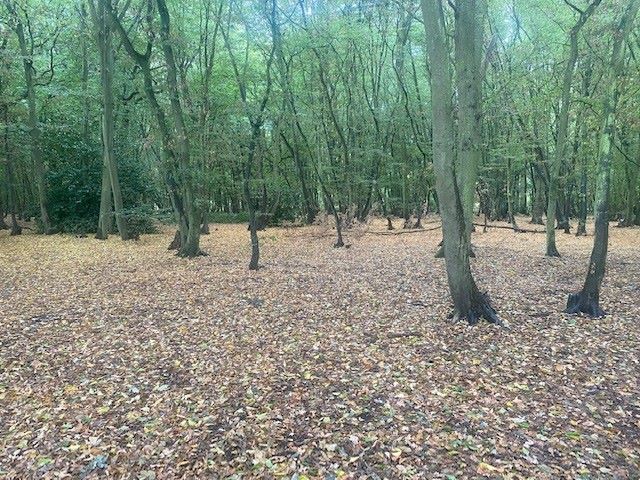 Birchwood, Chapel Road, Tiptree, Essex, CO5 0HP