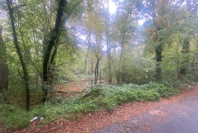 Land to North of, Riffhams Chase, Little Baddow, Chelmsford, Essex, CM3 4AU