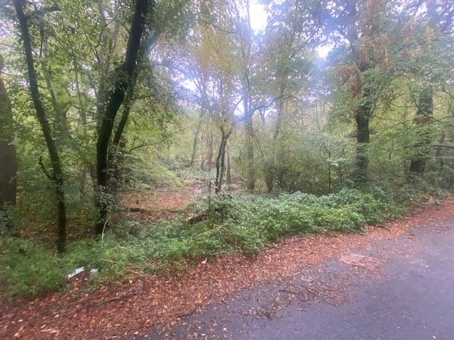 Land to North of, Riffhams Chase, Little Baddow, Chelmsford, Essex, CM3 4AU