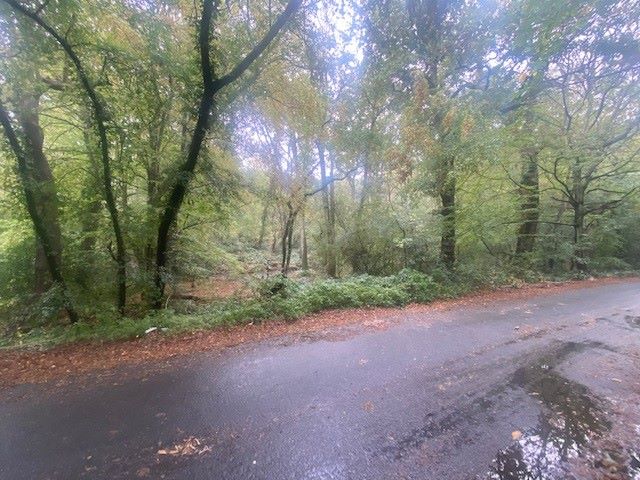 Land to North of, Riffhams Chase, Little Baddow, Chelmsford, Essex, CM3 4AU