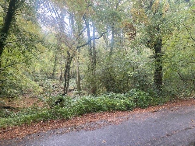 Land to North of, Riffhams Chase, Little Baddow, Chelmsford, Essex, CM3 4AU