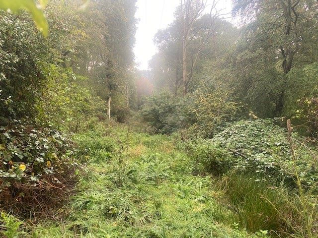 Land to North of, Riffhams Chase, Little Baddow, Chelmsford, Essex, CM3 4AU