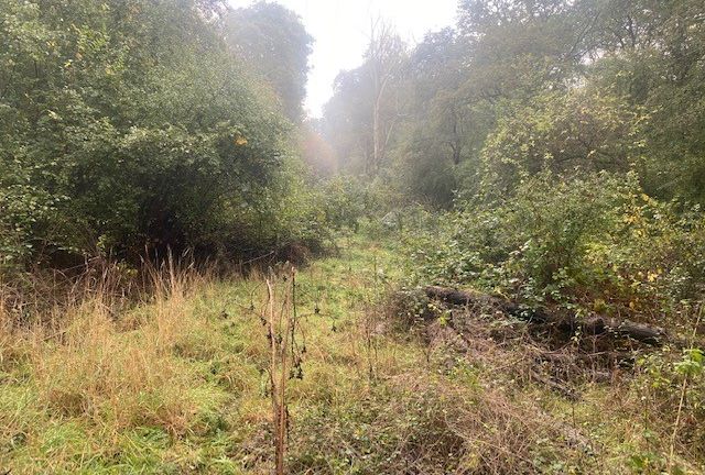 Land to North of, Riffhams Chase, Little Baddow, Chelmsford, Essex, CM3 4AU