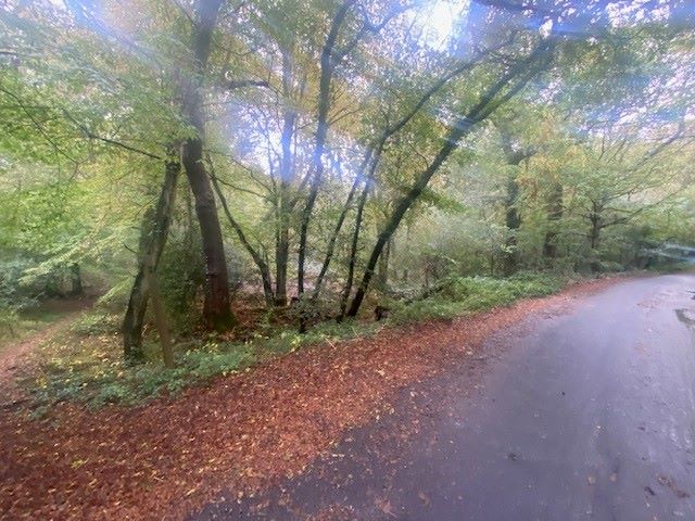 Land to North of, Riffhams Chase, Little Baddow, Chelmsford, Essex, CM3 4AU