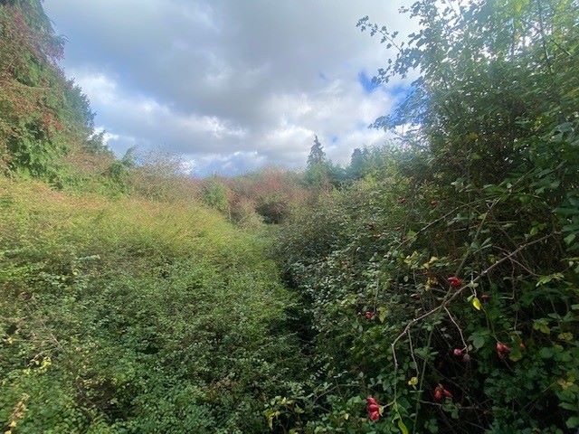 Land Lying to the east of, Hare Street, Buntingford, Hertfordshire, SG9 0DX