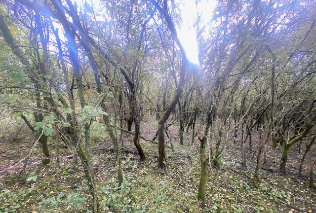 Land Lying to the east of, Hare Street, Buntingford, Hertfordshire, SG9 0DX