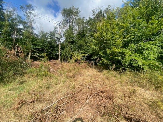 Land on the east side of High Bushes, Spring Elms Lane, Little Baddow, Essex, CM3 4SG