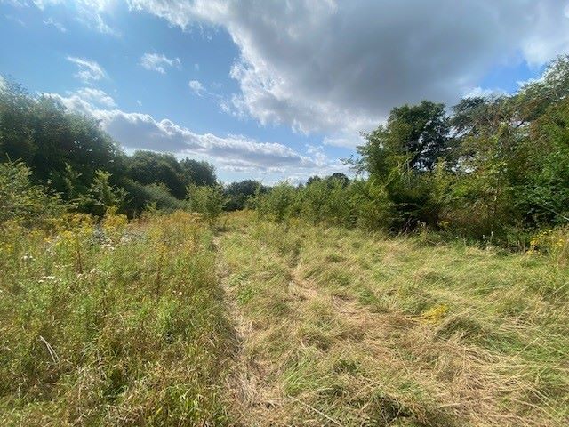 Land on the east side of High Bushes, Spring Elms Lane, Little Baddow, Essex, CM3 4SG
