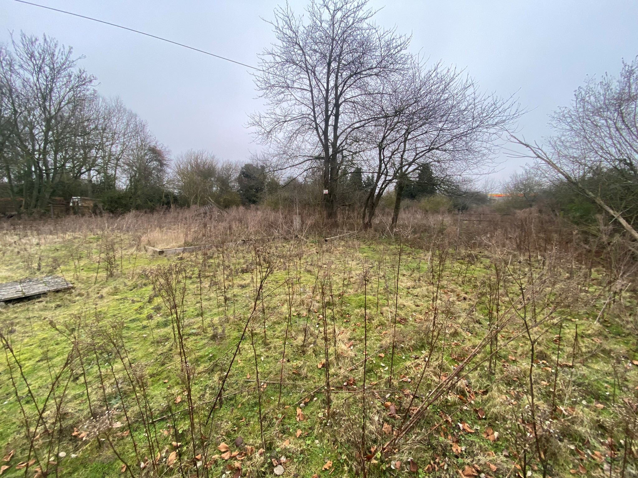 The Red Lion, 130 Coggeshall Road, Marks Tey, Essex, CO6 1LT