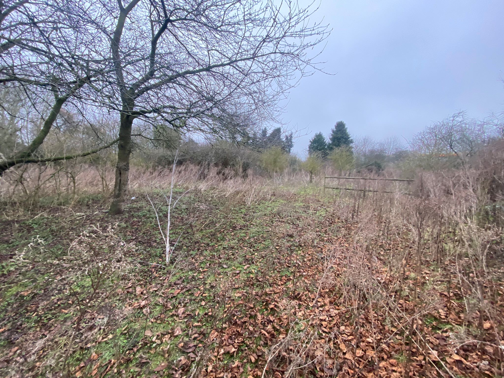 The Red Lion, 130 Coggeshall Road, Marks Tey, Essex, CO6 1LT