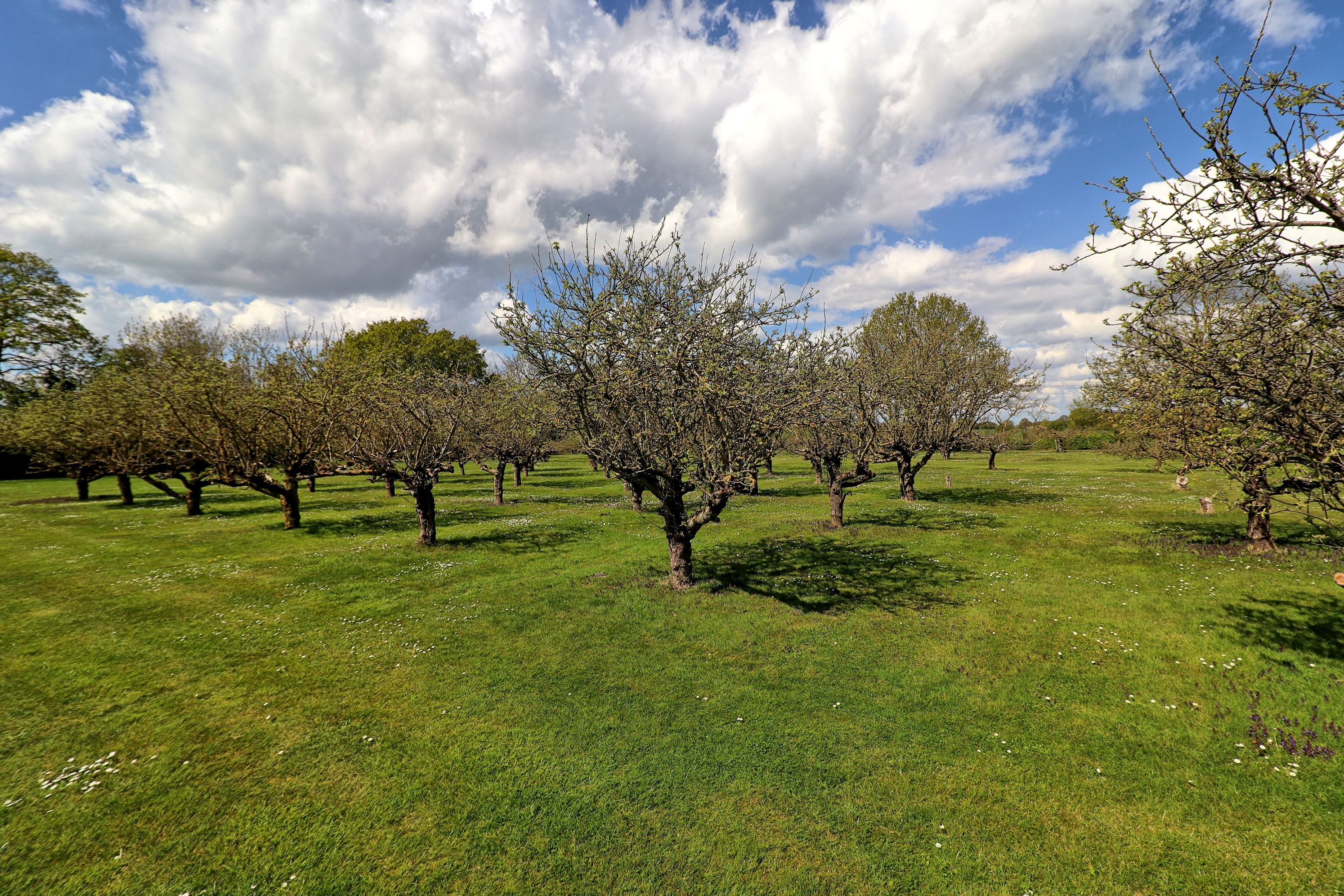 Orchard House, Apton Hall Road, Rochford, Essex, SS4 3RJ