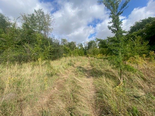 Land on the east side of High Bushes, Spring Elms Lane, Little Baddow, Essex, CM3 4SG