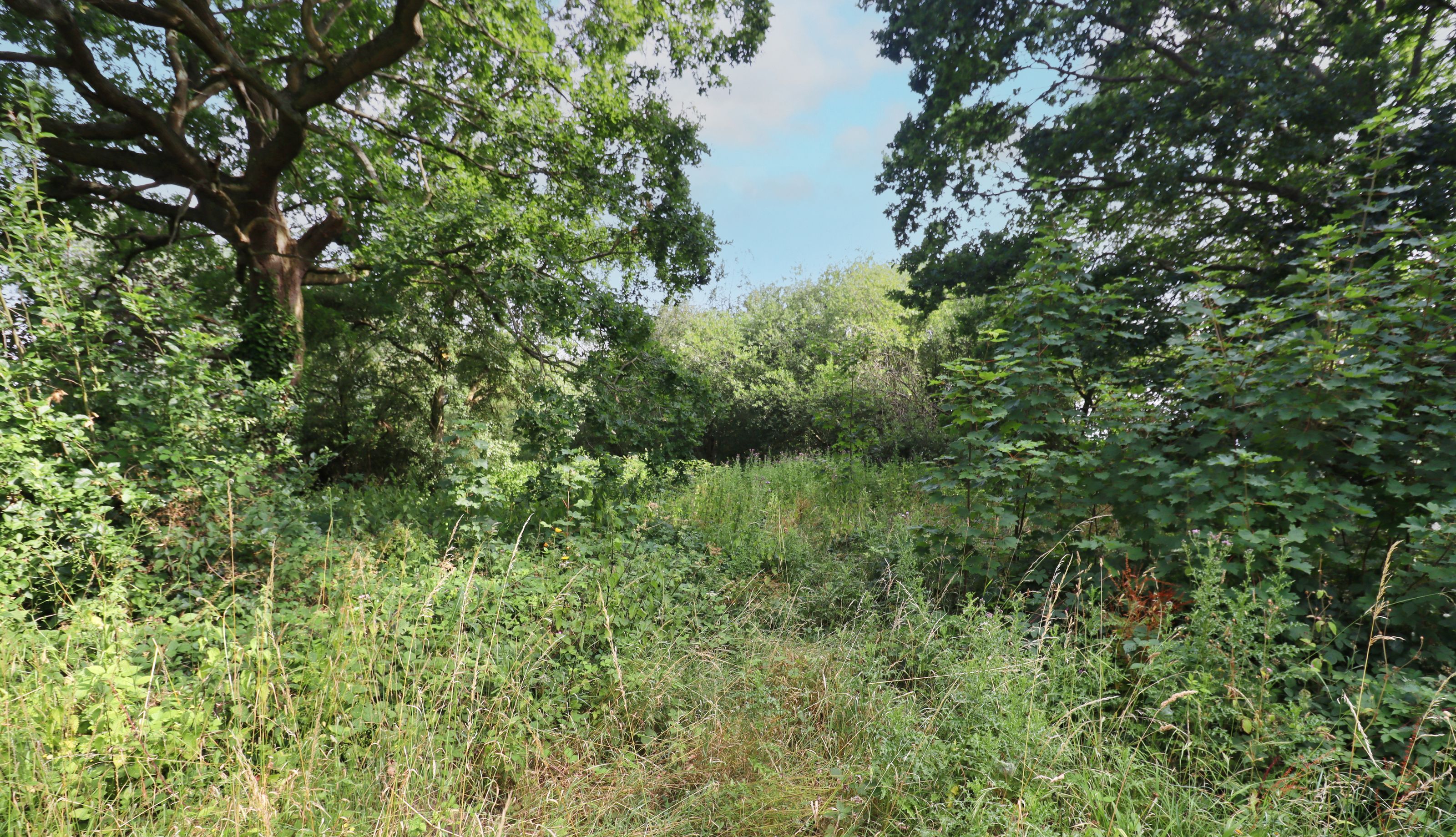 Hillcroft, East Hanningfield Road, Sandon, Chelmsford, Essex, CM2 7TQ