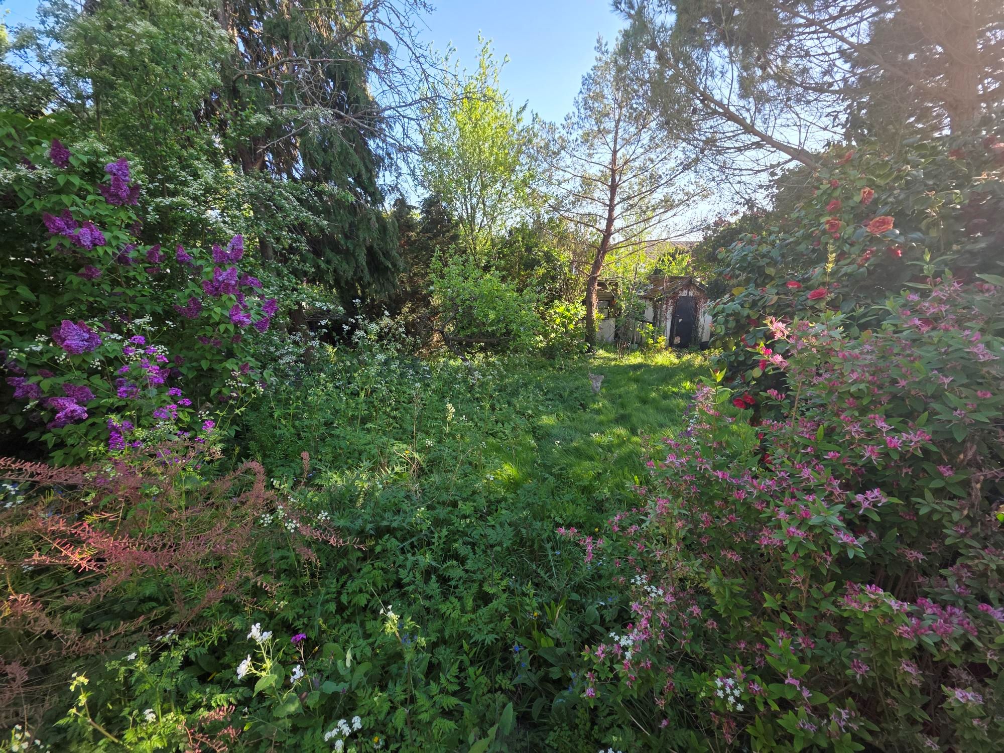 50 Sidwell Avenue, Benfleet, Essex, SS7 1LF