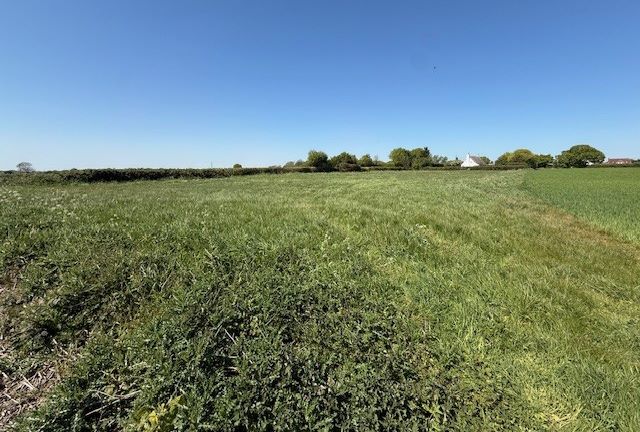 Land on the south of The Compasses, Clacton Road, Stones Green, Harwich, Essex, CO12 5BX