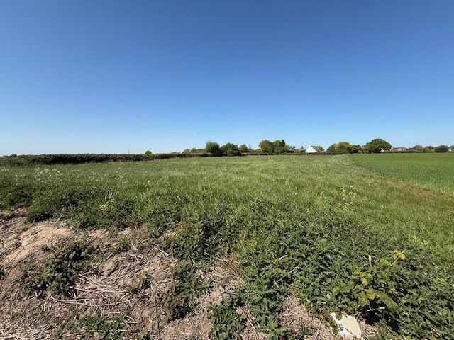 Land on the south of The Compasses, Clacton Road, Stones Green, Harwich, Essex, CO12 5BX