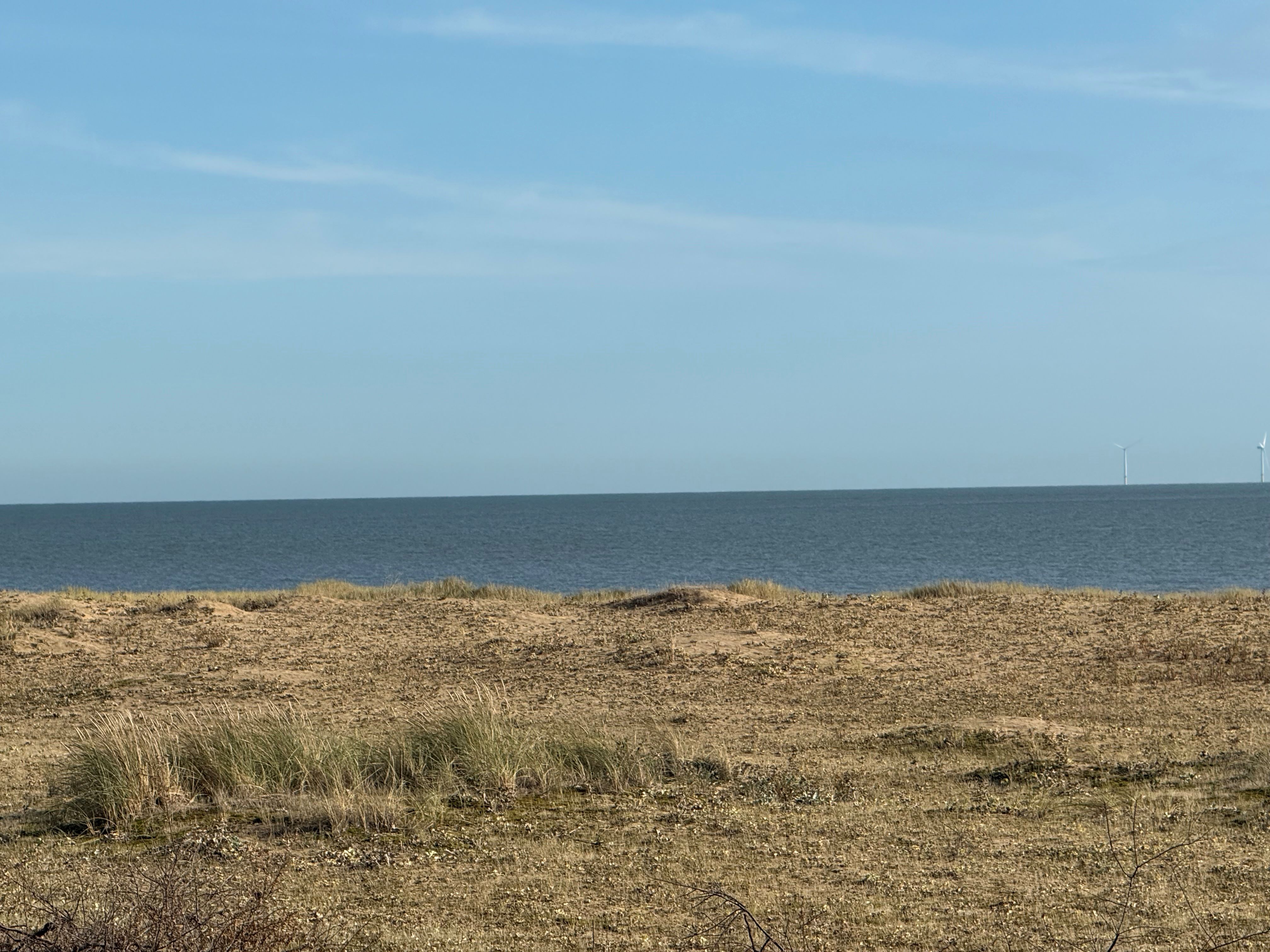 7 Sea Pink Way, Jaywick, Essex, CO15 2HQ