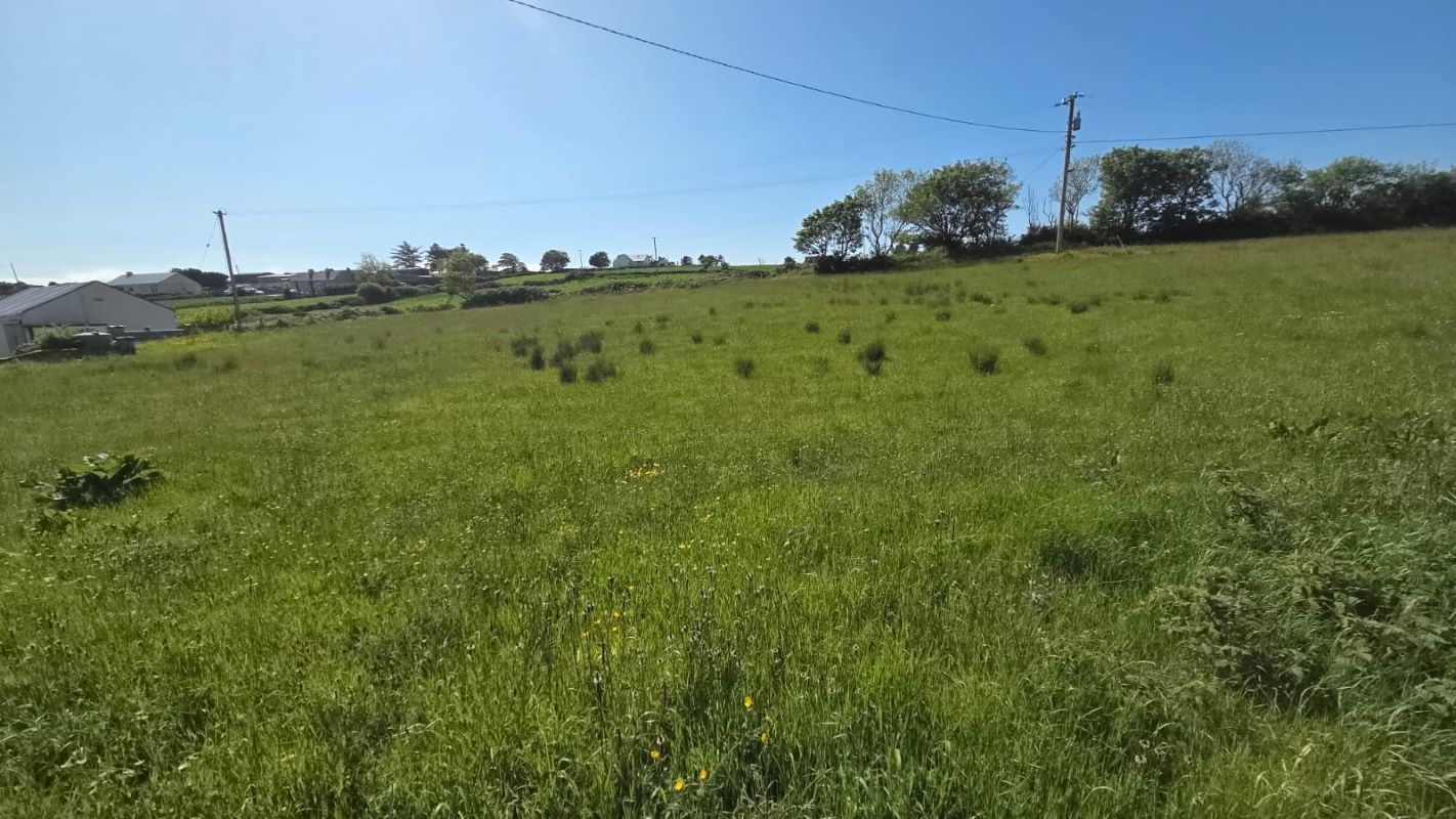 Lot Image