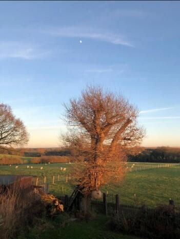 11 Foxdells Birch Green, Hertford, Hertfordshire, SG14 2LS