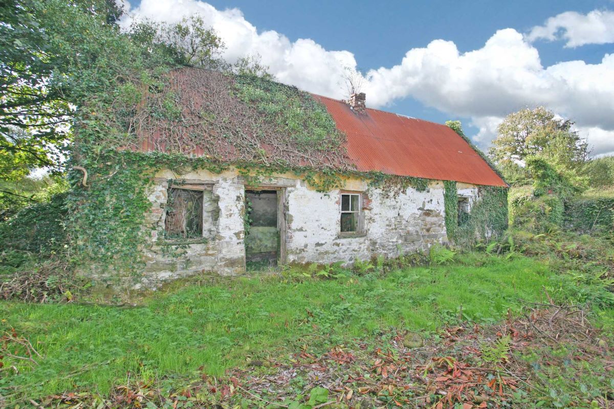 Lot Image