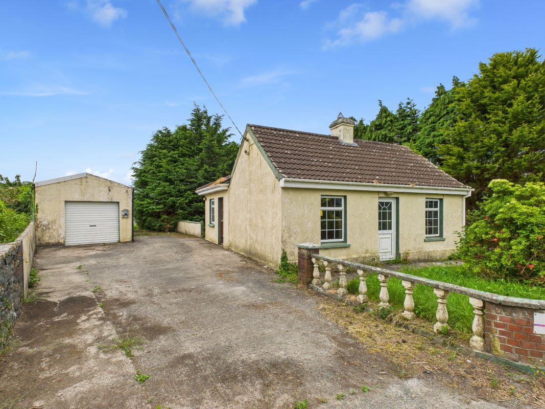 Main Lot Image