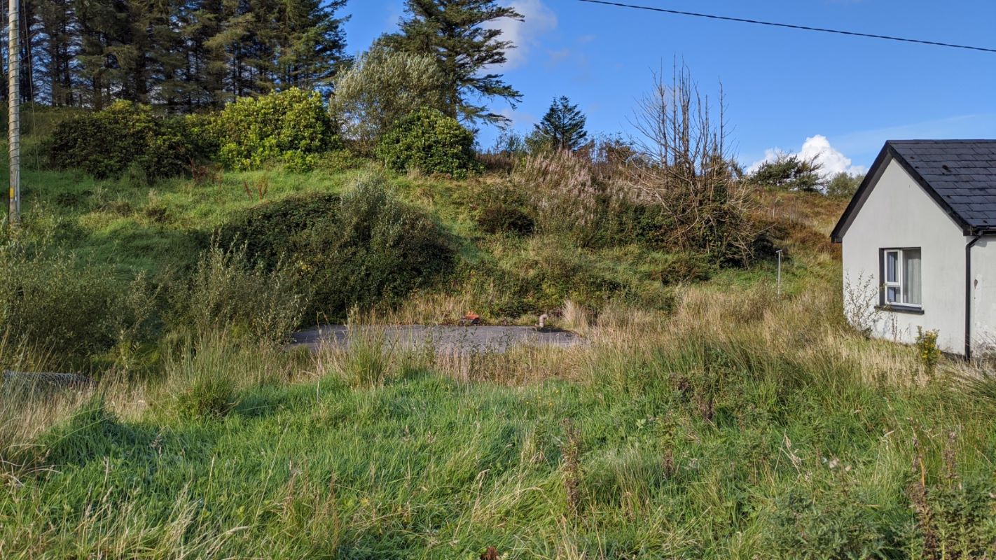 Lot Image