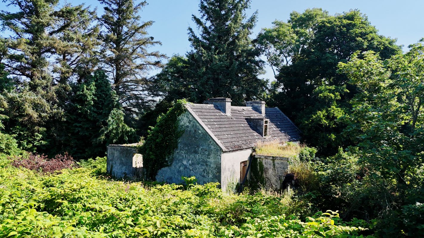Lot Image